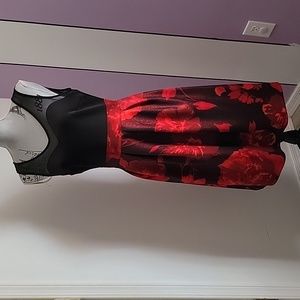 Enfocus Studio Sleeveless Dress